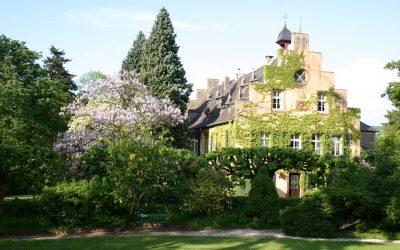 Freie Trauung Weingut Maximin Grünhaus